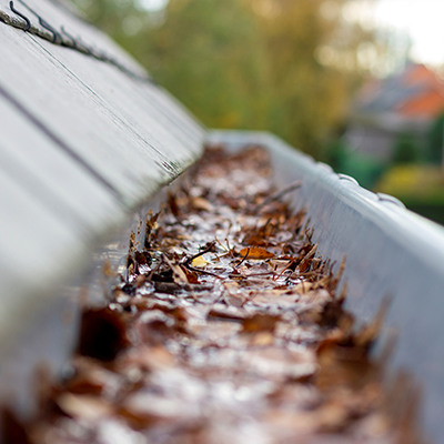 gutter cleaning service